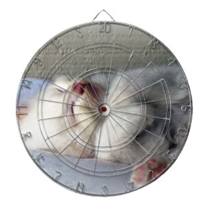 Sleepy Kitten Dartscheibe