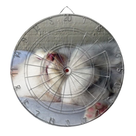 Sleepy Kitten Dartscheibe (vorne)