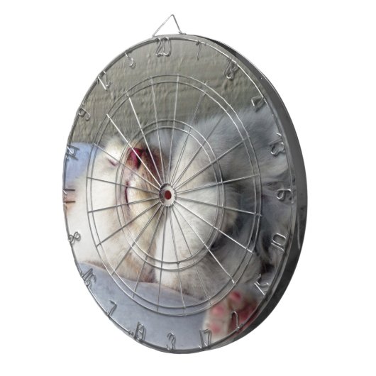 Sleepy Kitten Dartscheibe (Vorderseite rechts)