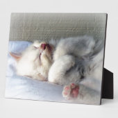 Sleepy Kitten Fotoplatte (Seite)