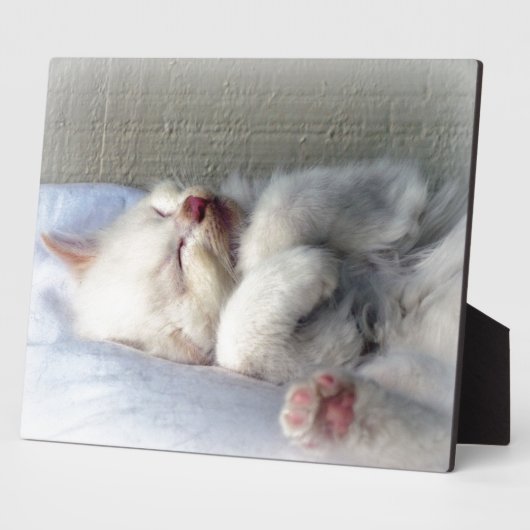 Sleepy Kitten Fotoplatte (Seite)