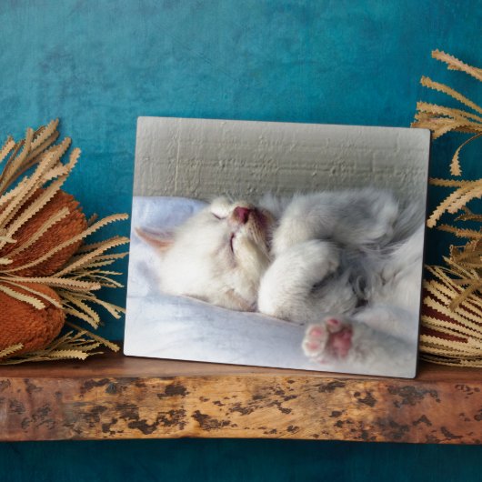 Sleepy Kitten Fotoplatte (Seite)