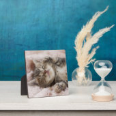 Sleepy Kitten Fotoplatte (InSitu)