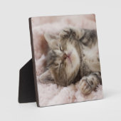 Sleepy Kitten Fotoplatte (Vorderseite)