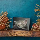 Sleepy Kitten Fotoplatte (Seite)