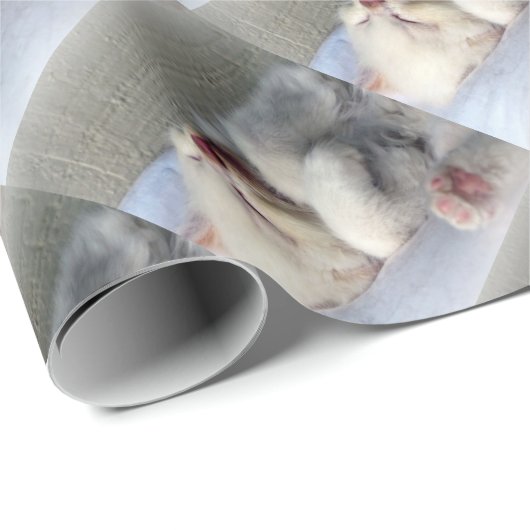 Sleepy Kitten Geschenkpapier (Rolleneckpunkt)