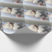 Sleepy Kitten Geschenkpapier (Ecke)