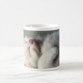 Sleepy Kitten Kaffeetasse (Mittel)
