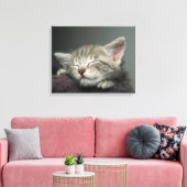 Sleepy Kitten Leinwanddruck (Insitu (Wohnzimmer))