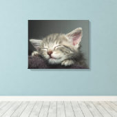 Sleepy Kitten Leinwanddruck (Insitu (Holzboden))