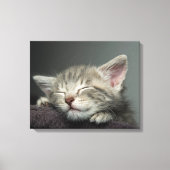 Sleepy Kitten Leinwanddruck (Vorderseite)
