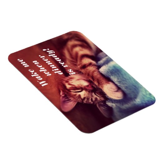 Sleepy Kitten Magent Magnet (Rechte Seite)