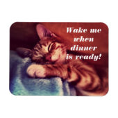 Sleepy Kitten Magent Magnet (Horizontal)