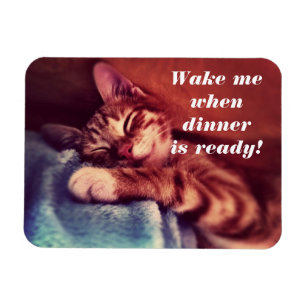 Sleepy Kitten Magent Magnet
