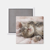 Sleepy Kitten Magnet (Vorderseite/Rückseite)