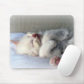 Sleepy Kitten Mousepad (Mit Mouse)