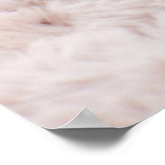 Sleepy Kitten Poster (Ecke)