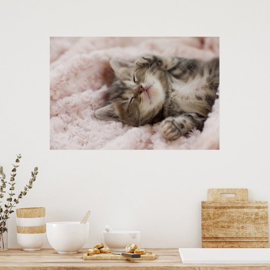 Sleepy Kitten Poster (Küche)