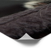 Sleepy Kitten Poster (Ecke)