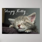 Sleepy Kitten Poster (Vorne)