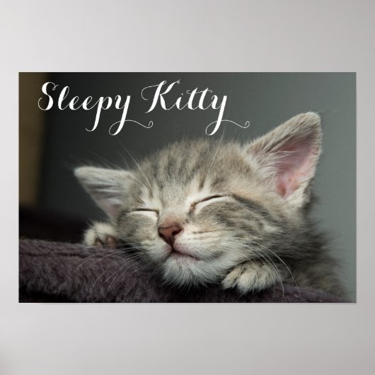 Sleepy Kitten Poster (Vorne)