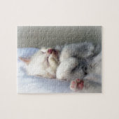 Sleepy Kitten Puzzle (Horizontal)