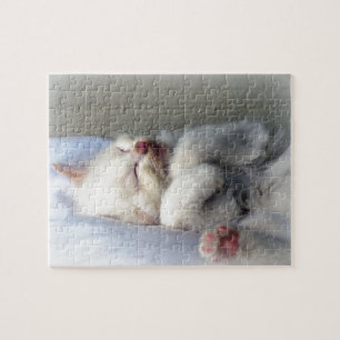Sleepy Kitten Puzzle