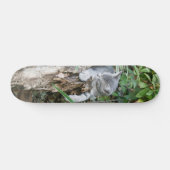 Sleepy kitten Skateboard (Horizontal)