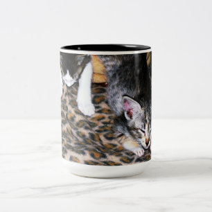 Sleepy Kittens Zweifarbige Tasse