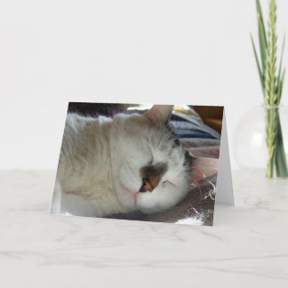 Sleepy kitty Birthday Karte