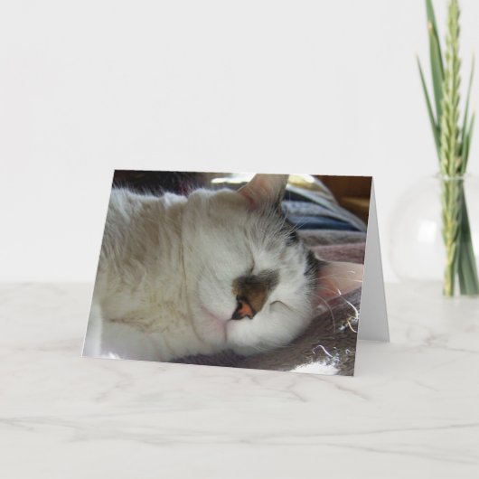 Sleepy kitty Birthday Karte (Vorderseite)