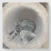 Sleepy Kitty Cat von Shirley Taylor Steinuntersetzer (Vorderseite)