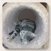 Sleepy Kitty Cat von Shirley Taylor Untersetzer (Vorderseite)
