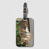 Sleepy kitty gepäckanhänger (Vorderseite Vertikal)