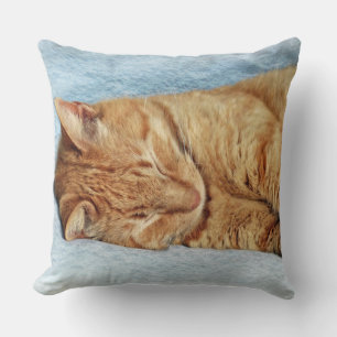 Sleepy Kitty Kissen