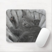 Sleepy kitty mousepad (Mit Mouse)