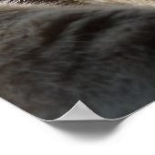 Sleepy Kitty Poster (Ecke)