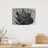 Sleepy kitty poster (Küche)