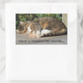 Sleepy kitty rechteckiger aufkleber (Tasche)