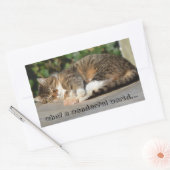 Sleepy kitty rechteckiger aufkleber (Umschlag)