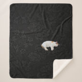 Sleepy Kitty Sherpadecke (Vorderseite)