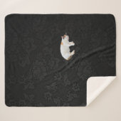 Sleepy Kitty Sherpadecke (Vorderseite (Horizontal))