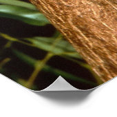 Sleepy Koala Poster (Ecke)