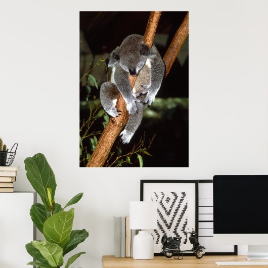 Sleepy Koala Poster (Heimbüro)