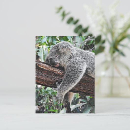Sleepy Koala Postkarte (Stehend Vorderseite)