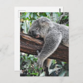Sleepy Koala Postkarte (Vorne/Hinten)