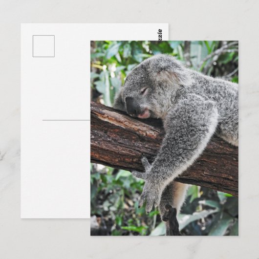 Sleepy Koala Postkarte (Vorne/Hinten)