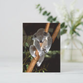 Sleepy Koala Postkarte (Stehend Vorderseite)