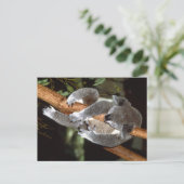 Sleepy Koala Postkarte (Stehend Vorderseite)