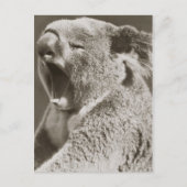 Sleepy Koala Yawning Postkarte (Vorderseite)